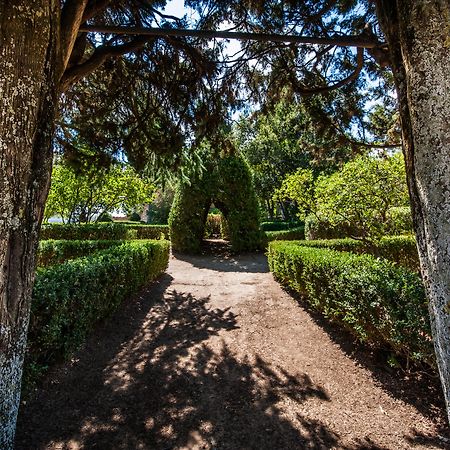 Masseria San Giovanni Sgadari Bompietro Esterno foto