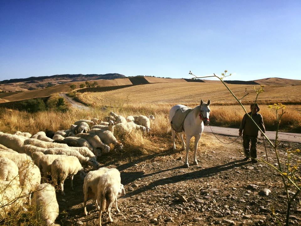 Masseria San Giovanni Sgadari Bompietro Esterno foto